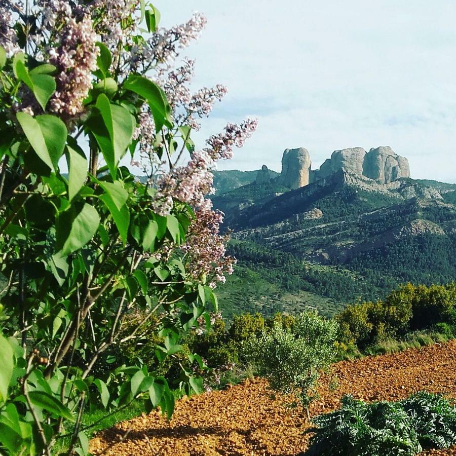 Casa Rural Santana オルタ・ダ・サン・ジョアン エクステリア 写真