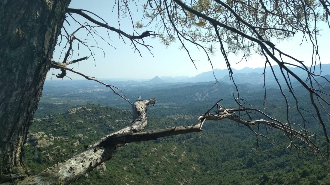 Casa Rural Santana オルタ・ダ・サン・ジョアン エクステリア 写真